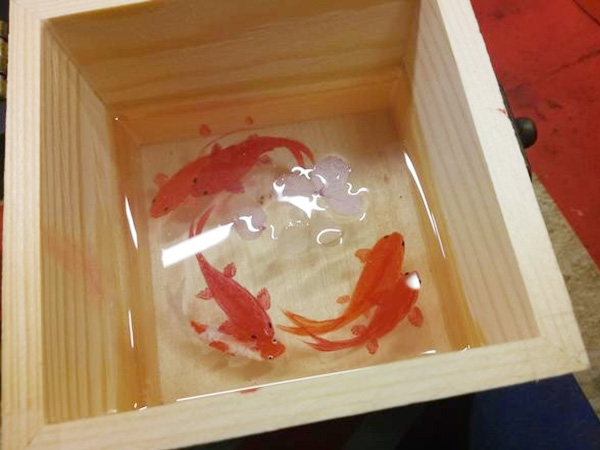 金魚(yú)畫(huà)水晶膠